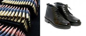 ५४ राउन्ड गोली, प्रहरीको बुटसहित झापाबाट २ जना पक्राउ