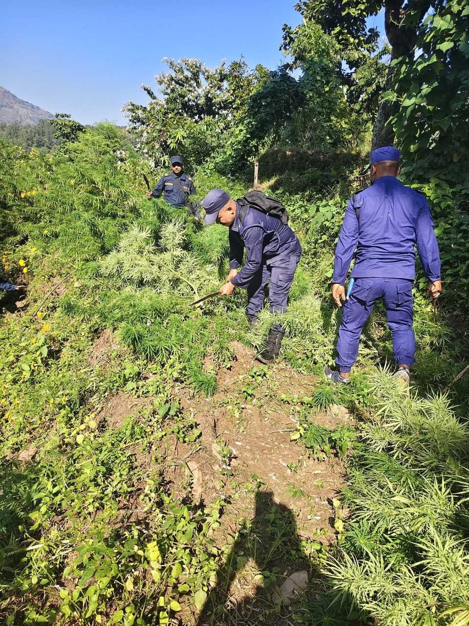 WhatsApp Image 2025-11-05 at 13.31.13