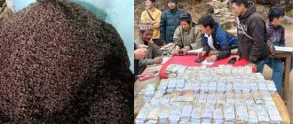 ४ बर्ष देखि १ सय मन बढी अलैँची उपादन गर्थे गोगने गाउँका किसान 