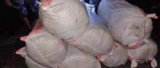 मोरङमा गाँजा कारोबारीलाई नियन्त्रणमा लिन हवाई फायर, ३३० किलो गाँजासहित २ जना भारतीय पक्राउ