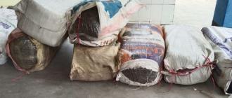 सुनसरीमा २४७ केजी गाँजा बरामद