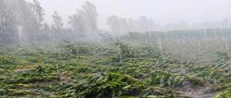 हावाहुरीबाट प्रभावित नागरिकलाई क्षतिपूर्ति दिन सांसदहरूद्वारा सरकारको ध्यानाकर्षण हावाहुरीबाट प्रभावित नागरिकलाई क्षतिपूर्ति दिन सांसदहरूद्वारा सरकारको ध्यानाकर्षण
