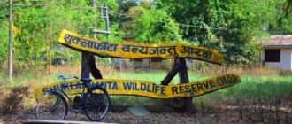 शुक्लाफाँटा निकुञ्ज विस्थापितको समस्या समाधान गर्न अध्ययन समिति गठन
